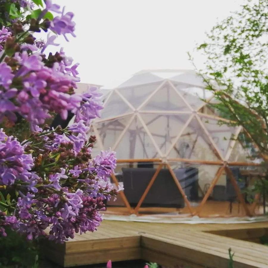 Отель Le Dome Aux Oiseaux Berig-Vintrange Экстерьер фото